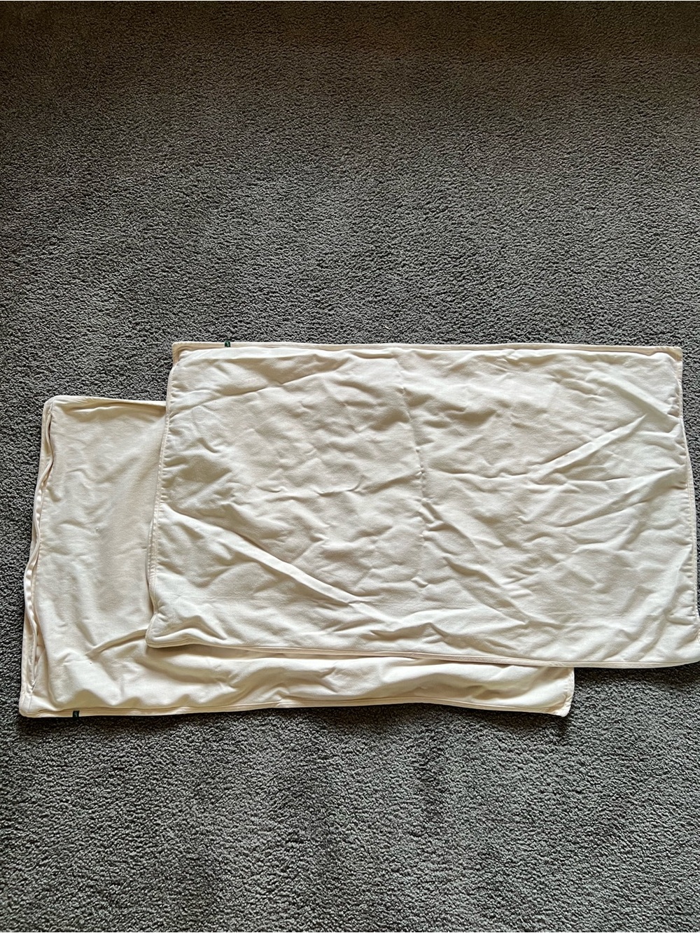 2 Pillow protectors